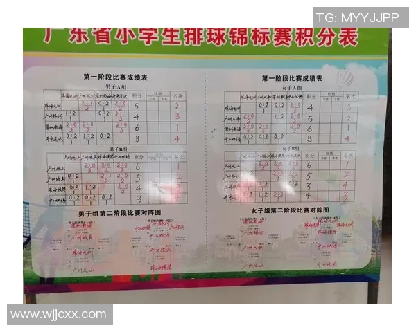 北京排球队在世界锦标赛中的比赛经验与表现分析